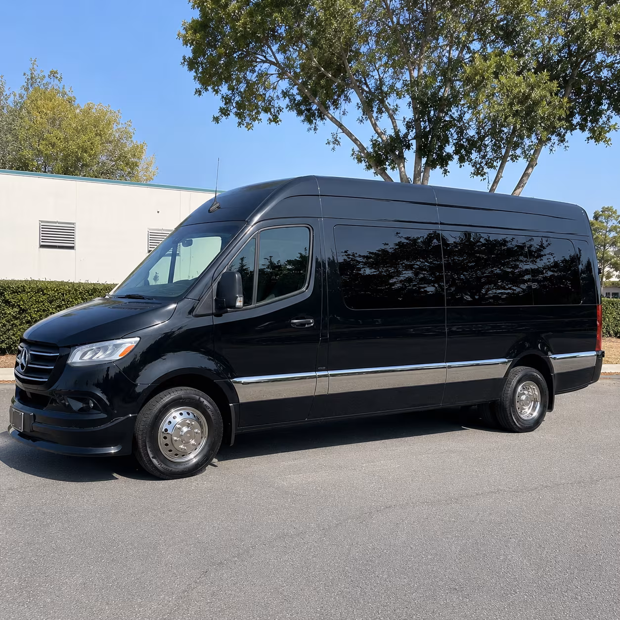 westminster sprinter limousine